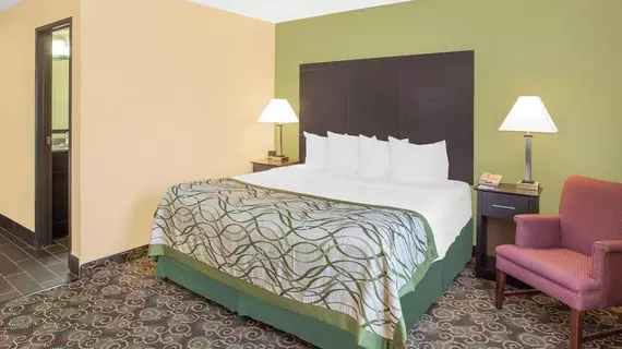 Americas Best Value Inn Holland | Michigan - Holland (ve civarı) - Holland