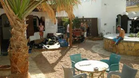 Dahab Divers Lodge | Güney Sina (il) - St. Catherine