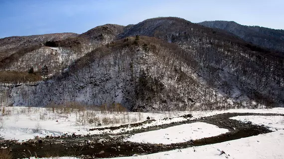 Yukimurasaki | Gifu (idari bölge) - Takayama