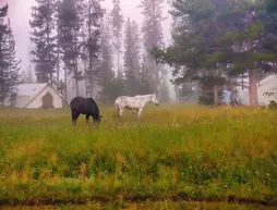 Bedroll and Breakfast Campground | Wyoming - Jackson Hole (ve civarı) - Moran - Flagg Ranch