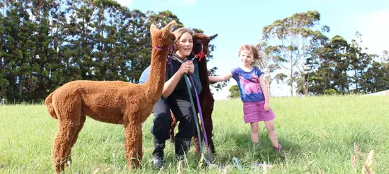 Pukeatua Farmstay | Auckland Bölgesi - Auckland (ve civarı) - Waimauku