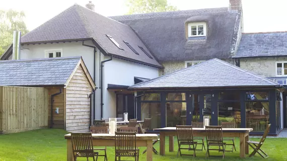 The Royal Oak Inn | Wiltshire (kontluk) - Salisbury - Swallowcliffe