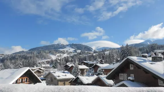 Au Coin Du Feu | Auvergne-Rhone-Alpes - Haute-Savoie (bölge) - Megeve