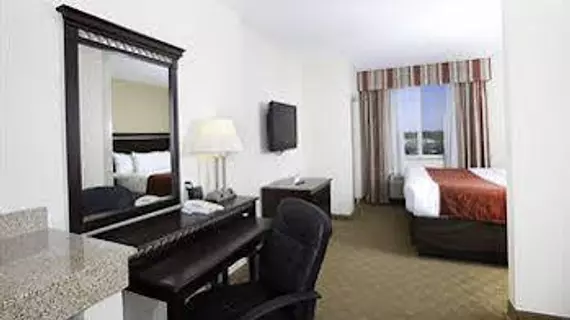 Comfort Suites Tampa Airport North | Florida - Tampa (ve civarı) - Tampa