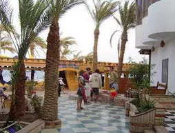 Penguin Village Hotel Dahab | Güney Sina (il) - St. Catherine