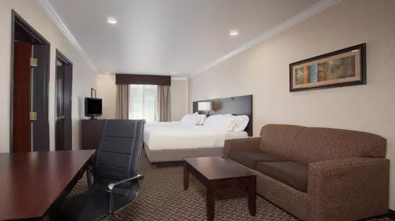 Holiday Inn Express and Suites Davis University Area | Kaliforniya - Sacramento (ve civarı) - Davis