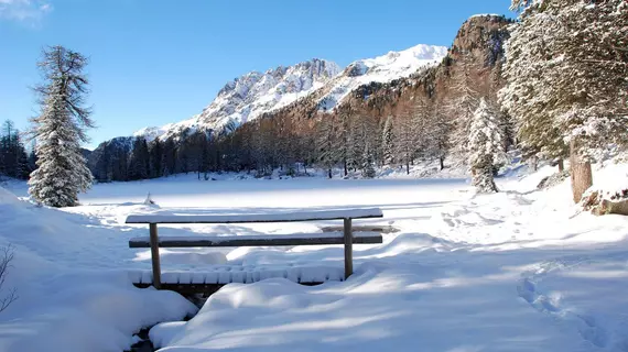 Hotel Cristallo | Trentino-Alto Adige - Trento İli - Moena