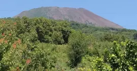 Tenuta Le Fornacelle | Campania - Salerno (il) - Mount Vesuvius - Pompei (bölge) - Torre del Greco