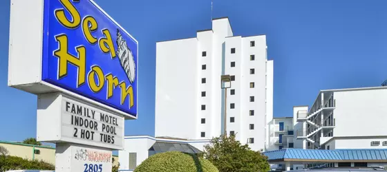 Sea Horn Motel | Güney Karolayna - Myrtle Plajı (ve civarı) - Myrtle Beach