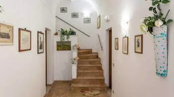 Bed and Breakfast Sognando Te | Umbria - Perugia (vilayet) - Assisi