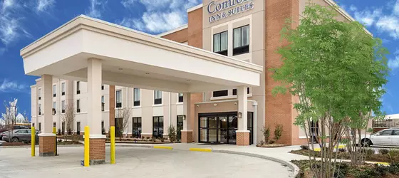 Comfort Inn and Suites Zachary | Louisiana - Baton Rouge (ve civarı) - Zachary