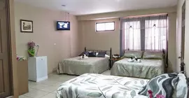 Hotel Quinta Avenida | Alajuela (ili) - San Jose (ve civarı) - San Jose