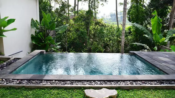 Kubu Bali Baik Villa and Resort | Bali - Ubud