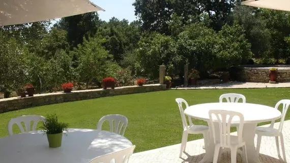 Otium Country House | Centro - Leiria Bölgesi - Ansiao