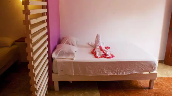 The Yak Hostel | Quintana Roo - Solidaridad - Playa del Carmen