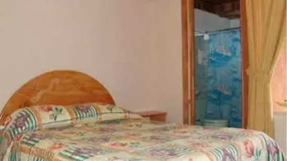 Cabinas Eddy B&B | Puntarenas (ili) - Monteverde