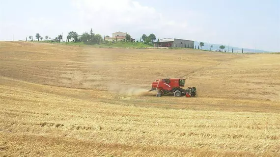 Agriturismo Sant' Ansano | Toskana - Siena (vilayet) - Castiglione d'Orcia