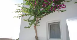 Aletro Cottage Houses | Ege Adaları - Mikonos