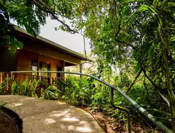 Jaguarundi Lodge | Puntarenas (ili) - Monteverde