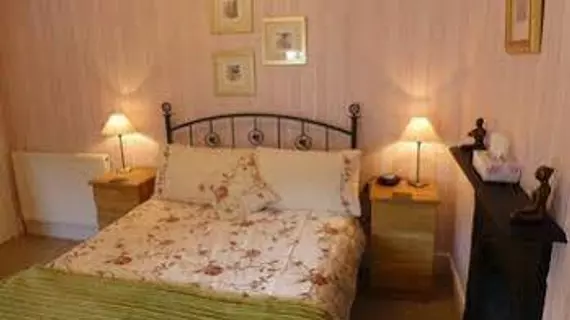 Bryn Derwen Guest House | Galler - Conwy