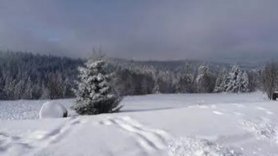 Auberge d'altitude de Grouvelin | Grand Est - Vosges (bölge) - Gerardmer