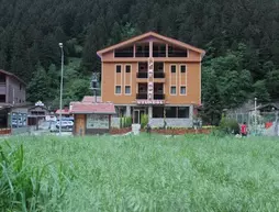 My Home Uzungol | Trabzon - Çaykara - Uzungöl