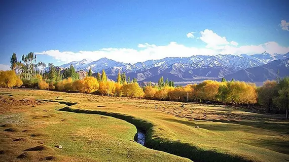 Hotel Shambhala | Cammu ve Keşmir - Leh