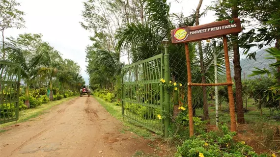 Harvest Fresh Farms | Kerala - Idukki Bölgesi - Thekkady