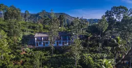 The Tea Tree Resort | Badulla Bölgesi - Ella