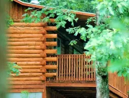 Lake Forest Luxury Log Cabins | Arkansas - Bentonville - Fayetteville (ve civarı) - Eureka Springs