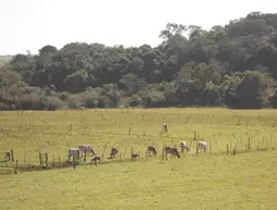 Pousada Recanto do Monte Alegre | Southeast Region - Sao Paulo (eyaleti) - Bauru (ve civarı) - Piraju