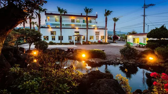 Olle Windmill Pension and Guesthouse | Jeju Adası - Seogwipo - Jungmun