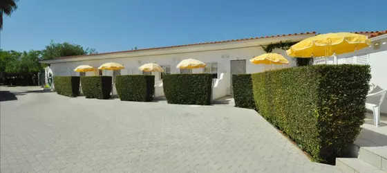 Apartamentos Flor da Laranja | Algarve - Faro Bölgesi - Albufeira