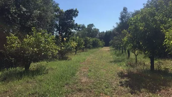 Vale Fuzeiros Nature Guest House | Algarve - Faro Bölgesi - Silves