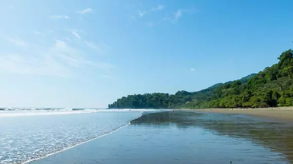 Camping y Cabinas El Tecal | San Jose (ili) - Dominical (ve civarı) - Ballena - Uvita