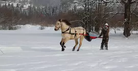 Odalys Le Buet | Auvergne-Rhone-Alpes - Haute-Savoie (bölge) - Morillon