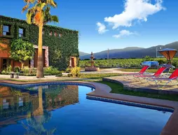 Hotel Boutique Valle de Guadalupe | Kuzey Baja California - Ensenada - Ensenada (ve civarı) - Valle de Guadalupe