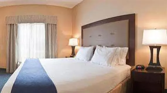 Holiday Inn Express Hotel & Suites - Novi | Michigan - Detroit (ve civarı) - Novi