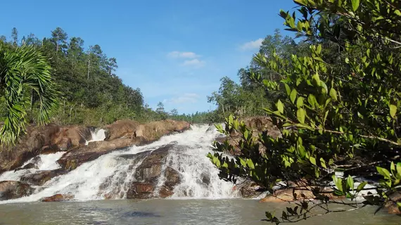 Gaia Riverlodge | Cayo Bölgesi - San Ignacio