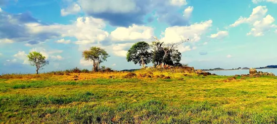 Sisira Natural Lodge | Merkez Vilayet - Matale Bölgesi - Sigiriya