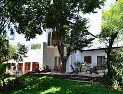 The Bushbaby Inn | Gauteng - City of Tshwane - Johannesburg (ve civarı) - Pretoria