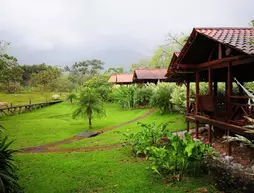 La Anita Rainforest Ranch | Alajuela (ili) - Guayabo