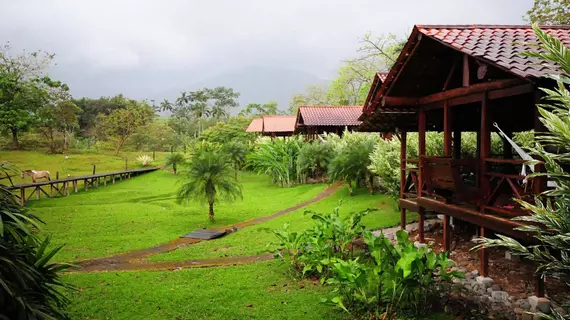 La Anita Rainforest Ranch | Alajuela (ili) - Guayabo