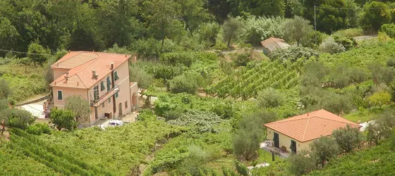 Agriturismo La Collina Verde | Liguria - La Spezia (il) - Levanto