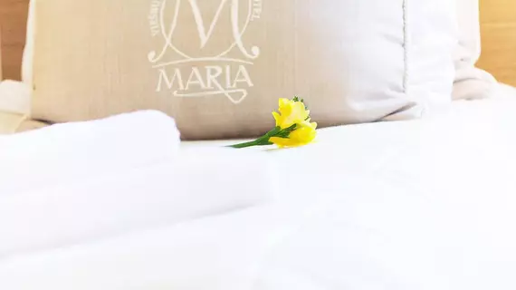 Hotel Domus Maria | Vilnius (ve civarı) - Vilnius