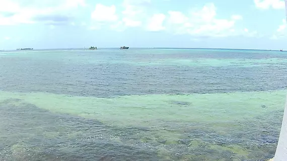 Rocky Cay Bay | San Andres y Providencia - San Andres