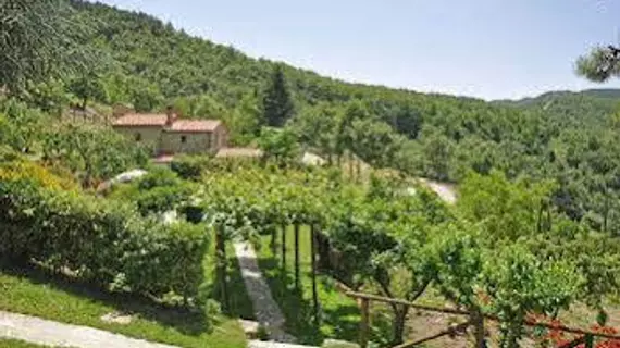 Villa Dame | Toskana - Arezzo (vilayet) - Cortona