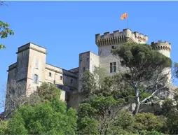 Chateau de la Barben | Provence - Alpes - Cote d'Azur - Bouches-du-Rhone (bölge) - St.-Remy-de-Provence (ve civarı) - La Barben