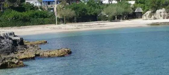 Castellinaria | Puglia - Bari (il) - Polignano a Mare