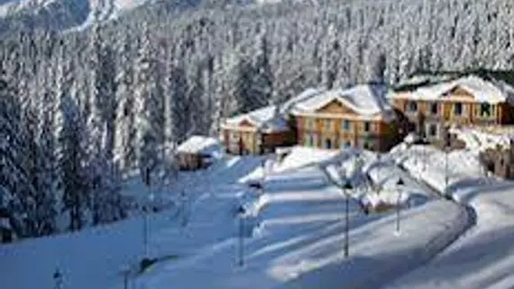 The Khyber Himalayan Resort & Spa | Cammu ve Keşmir - Srinagar (ve civarı) - Gulmarg